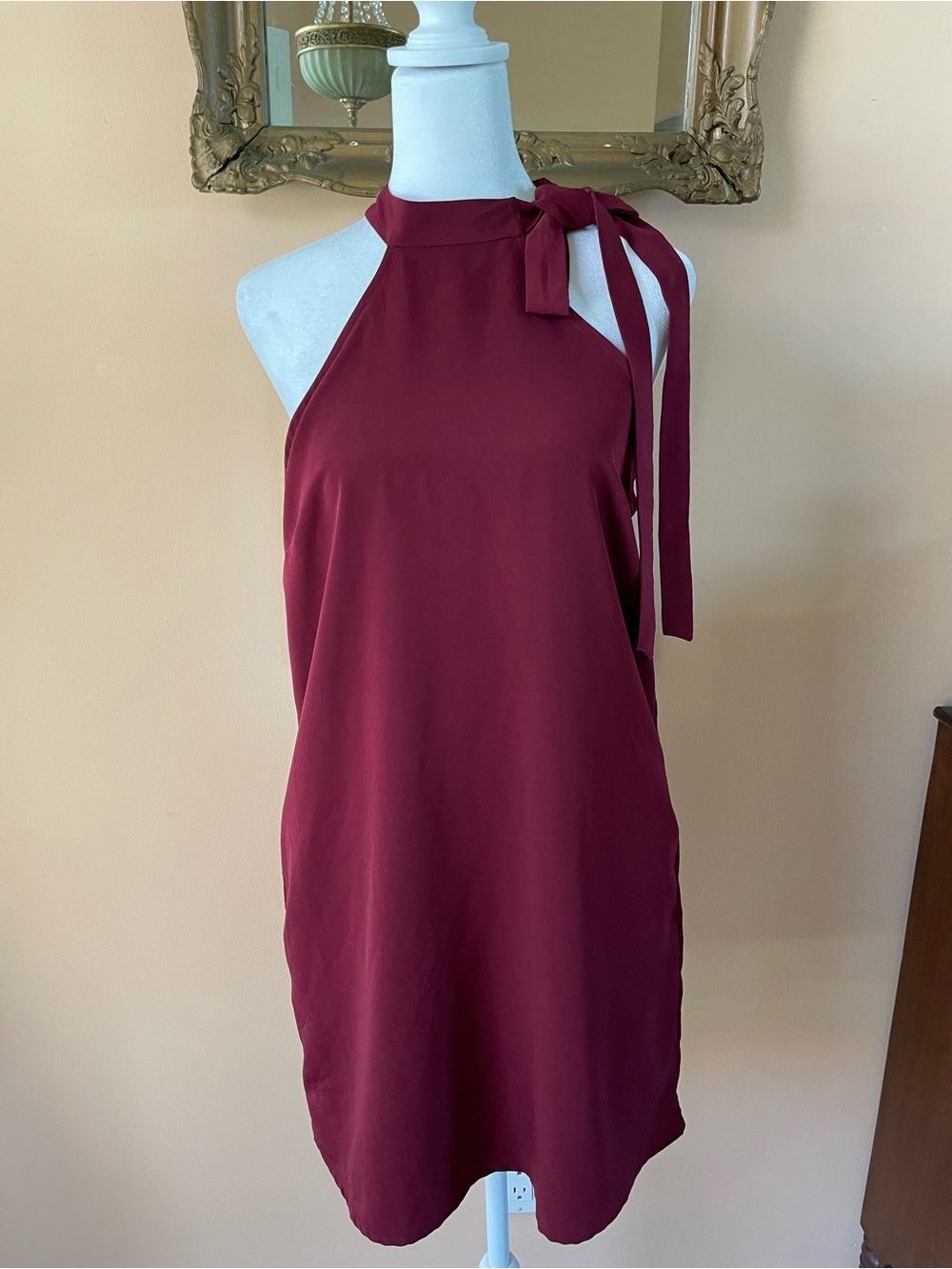 Casual Poly Pockets Sleeveless Tie-Neck Shift Dress in Burgundy Short Dress S/M